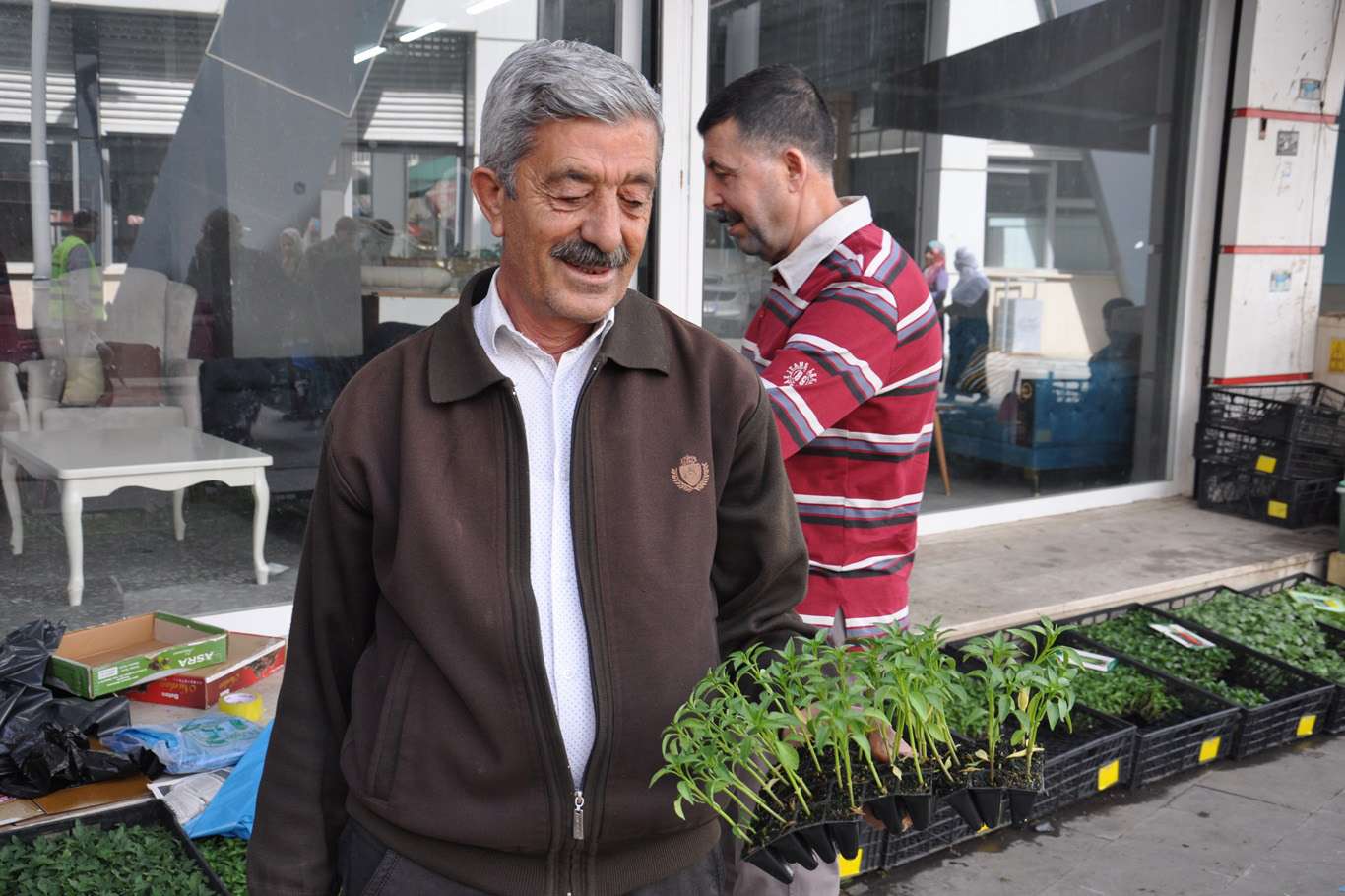 İlkbaharın gelmesiyle fide satışları başladı İlkbaharın gelmesiyle fide satışları başladı